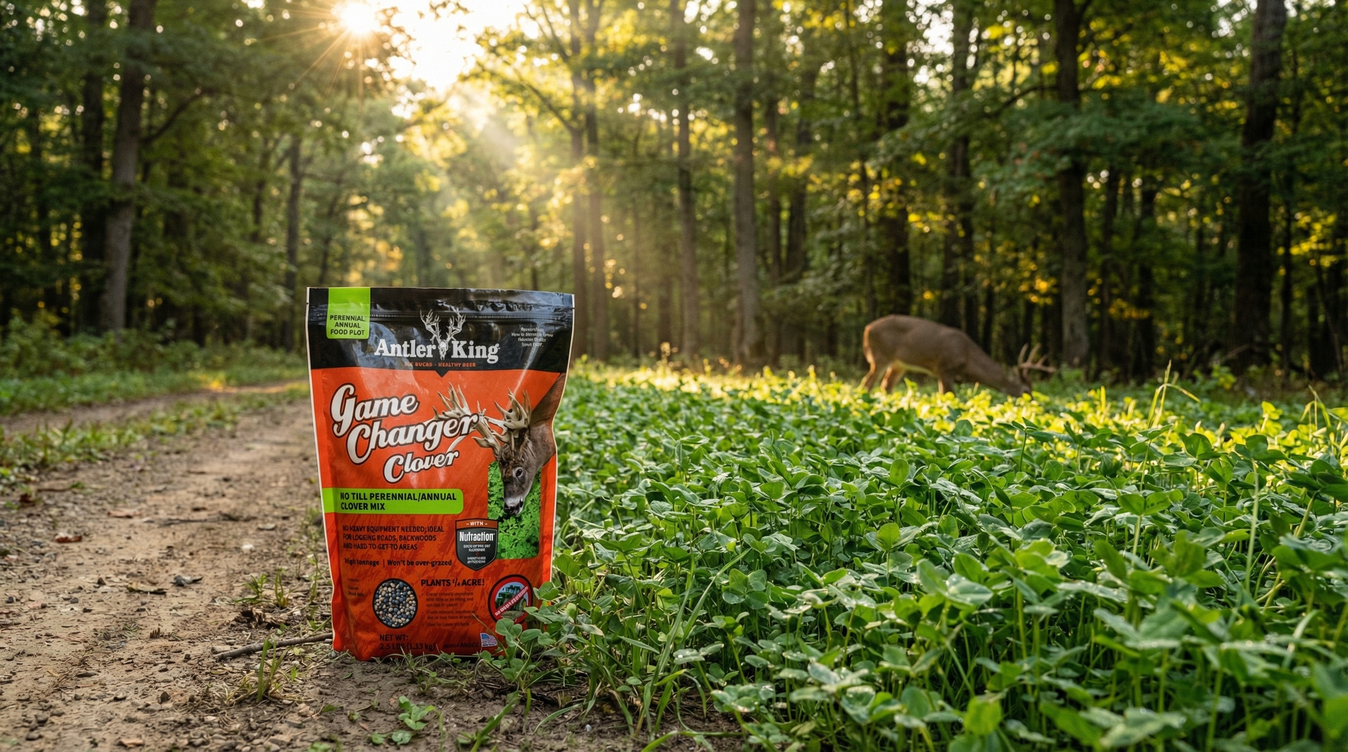The Food Plot Mix That Works Where Others Fail: Antler King Game Changer Clover