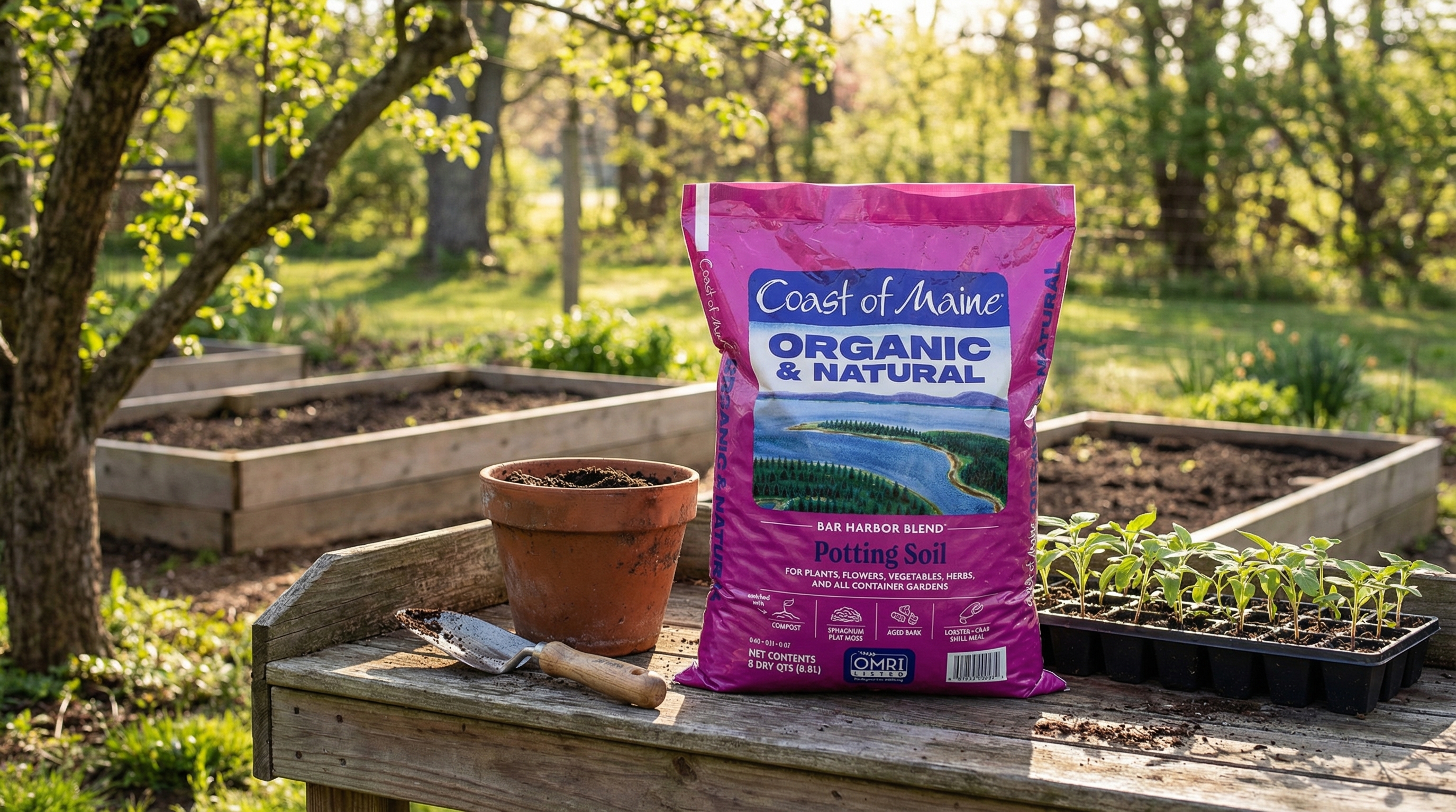 The Organic Potting Soil That Actually Lives Up to the Hype: Coast of Maine Bar Harbor Blend